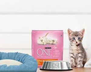 comedero y cama muestras gratis para gatos
