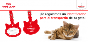 regalo gratis para mascotas