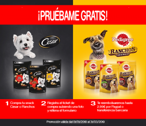 reembolsos gratis mascotas 2019