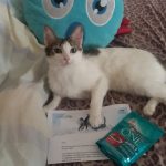 muestra gratis para mascotaS