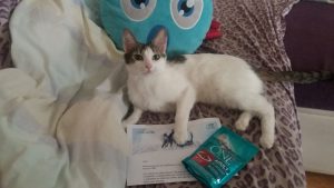 muestra gratis para mascotaS