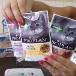 muestras para mascotas gatos