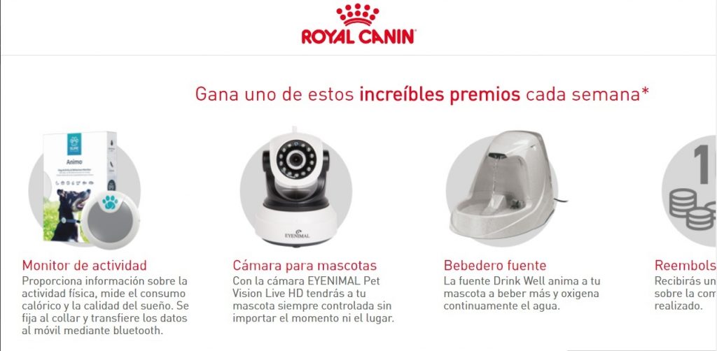 sorteo Royal Canin