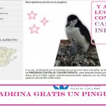 apadrina un pinguino gratis