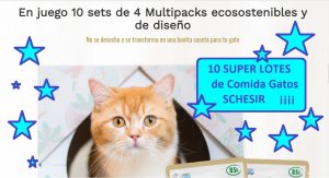 sorteo schesir