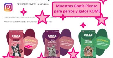 muestras gratis pienso para gatos y perros KOME