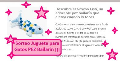 sorteo catit cat juguete para gatos Pez Bailarín