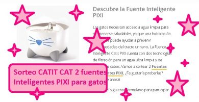 sorteo 2 fuentes inteligentes para gatos de CATIT CAT