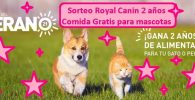 Sorteo Royal cANIN mascota del verano 2021 2 años gratis de comida para mascotas, perros y gatos