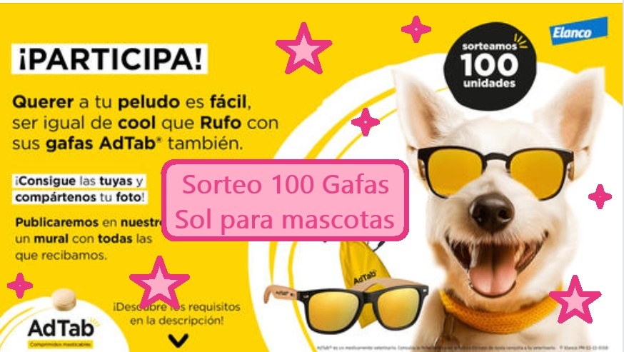 sorteo adtab de 100 gafas de sol para perros y mascotas
