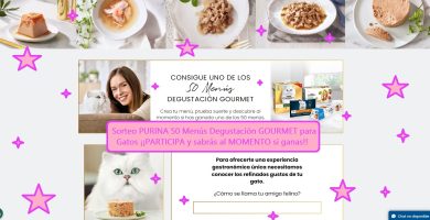 Sorteo PURINA 50 Menús Degustación GOURMET para gatos