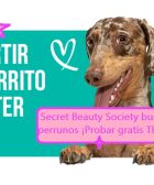 Secret Beauty Society busca 25 Tester perrunos Probar gratis The Doog Life