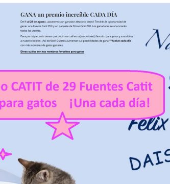 Sorteo CATIT de 29 Fuentes para gatos Pixi