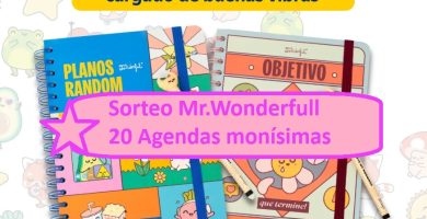 Sorteo Mr.Wonderfull de 20 Agendas monísimas