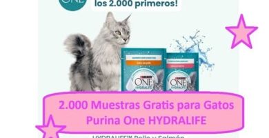 2.000 Muestras Gratis para Gatos Purina One HYDRALIFE