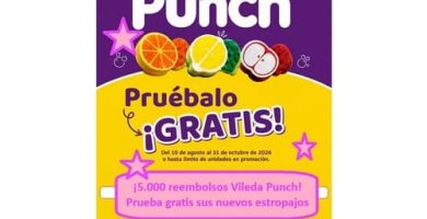 5.000 reembolsos Vileda Punch Prueba gratis sus nuevos estropajos