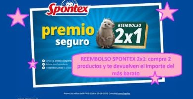 REEMBOLSO SPONTEX 2x1 compra 2 productos y te devuelven el importe del más barato