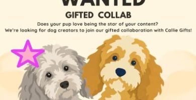 ¡Callie Gifts busca creadores de contenido con perros!