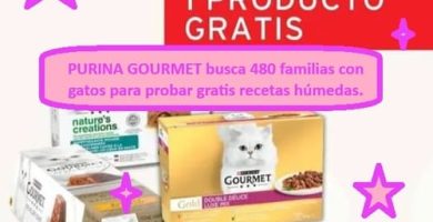 PURINA GOURMET busca 480 familias con gatos para probar gratis sus recetas húmedas.