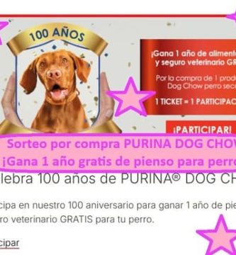 Sorteo por compra PURINA DOG CHOW ¡Gana 1 año gratis de pienso para perros!
