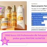 TRND busca 150 Profesionales de Peluquería para probar gama PANTENE GLOWTOX